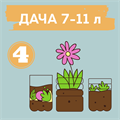 ДАЧНЫЙ КВЕСТ НА 7-11 ЛЕТ № 4 10116 - фото 398